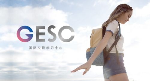 教育機(jī)構(gòu)的品牌全案策劃