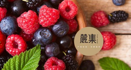 品牌策劃公司-如何從策劃的角度打造品牌形象？