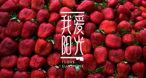 營銷策劃-VI設(shè)計對公司意味著什么？