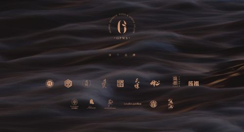 環(huán)球佳釀造就不一樣的酒業(yè)大咖！