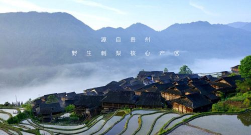 品牌設(shè)計方案加持下品牌有哪些變化？