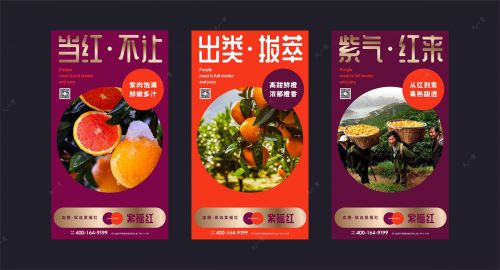 品牌策劃帶你了解血橙和其他橙類有什么區(qū)別？