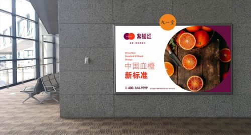 新產(chǎn)品上市五步走